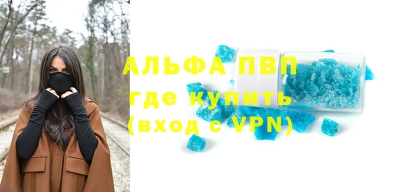 шишки Пестово