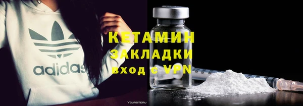 шишки Пестово