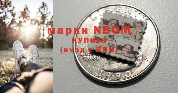 шишки Пестово