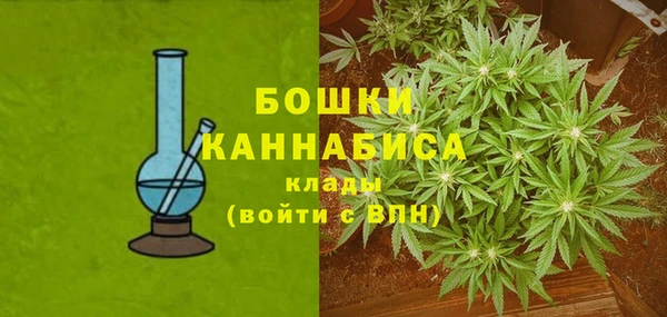 шишки Пестово
